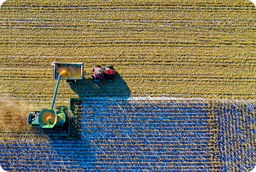 Aerial view of a harvester tractor filling a container, while another tractor transports it across the field.